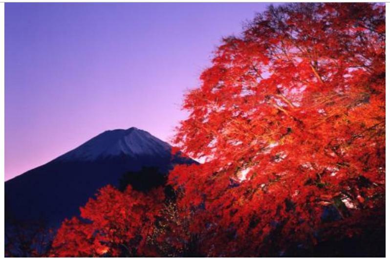 Villa Erable Mt.Fuji "Kaze" Fujikawaguchiko Esterno foto